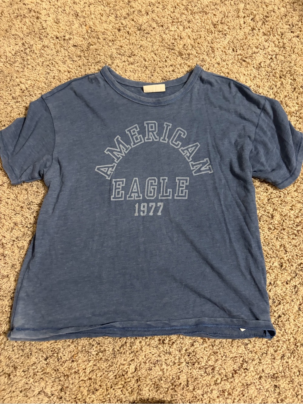 American Eagle Outfitters Blue Graphic Crop Tee - 1977